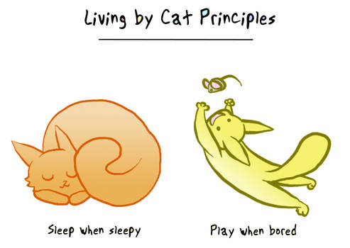 Cat Principles Page 2