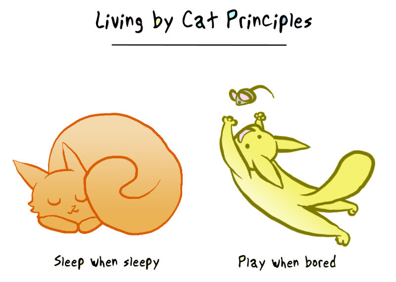 Cat Principles Page 2