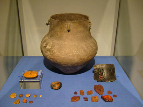 The Amber Exhibition