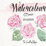 Watercolor-flower-cover