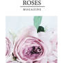 The Rose Magazine - magazine template