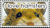 stamp: hamster lover by MoNyOh