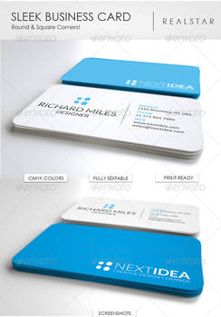 Sleek Business Card