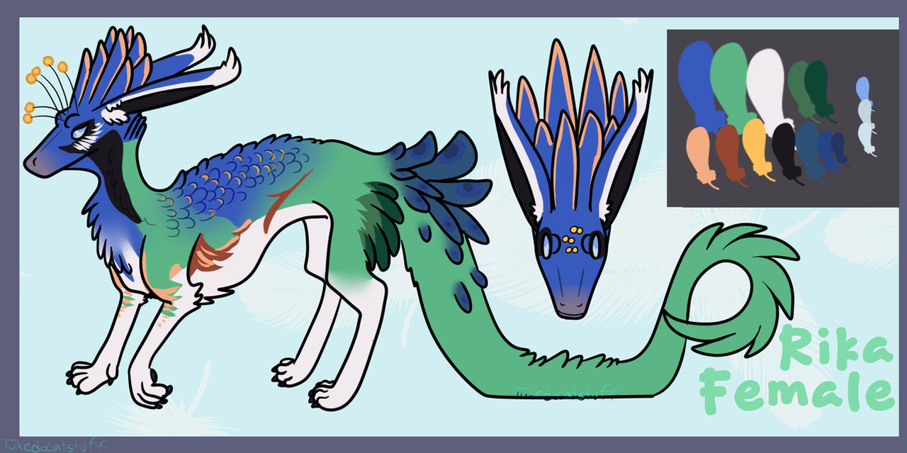 All Rika's Dragon Rika Reference page by TuxedoCatStuff on DeviantArt
