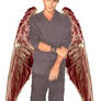 Johnny Angel