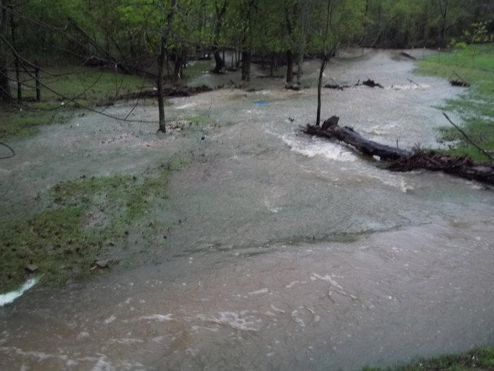 Barefoot Razorback Flood3 by BarefootRazorback on DeviantArt