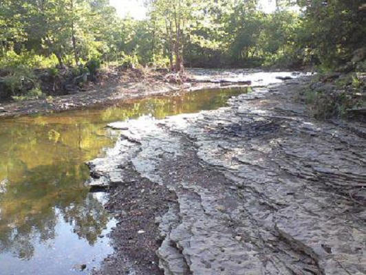 Barefoot Razorback White River Tributary. by BarefootRazorback on DeviantArt