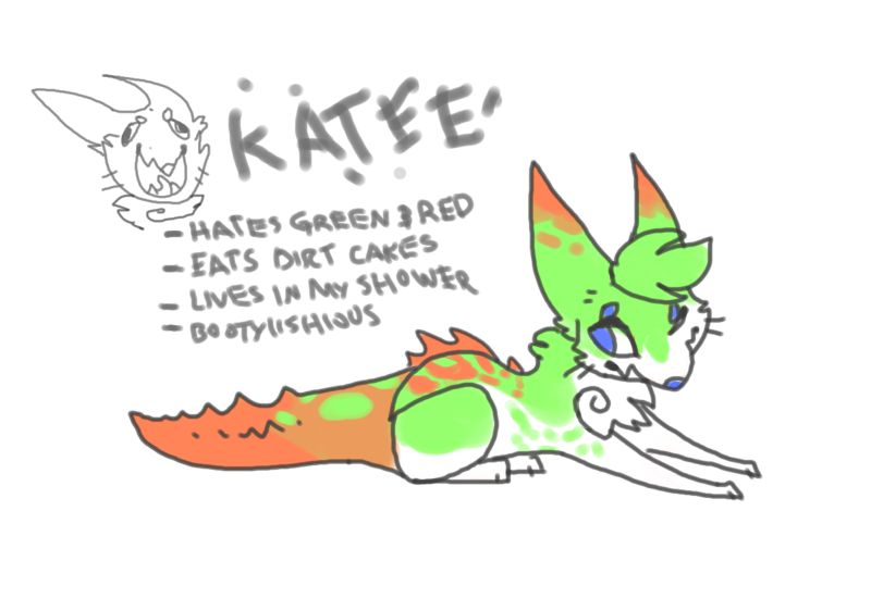 KATEE THE CATGATOR