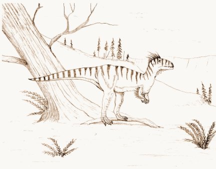 Young Megalosaurus bucklandi