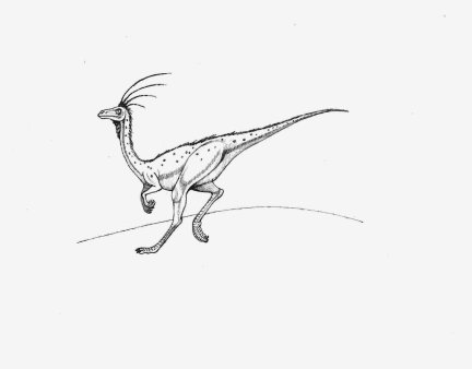 Ornithomimus velox