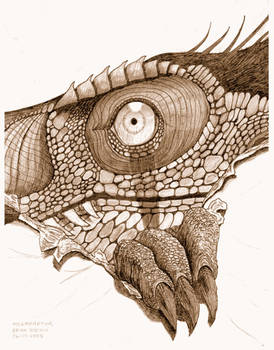 Achillobator giganticus peeks