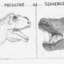 Predator or Scavenger