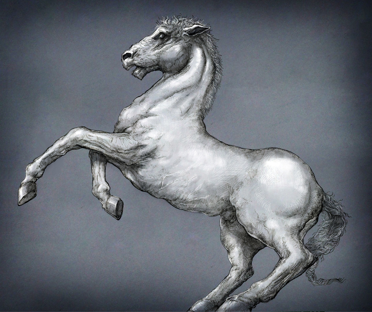 White Horse Study