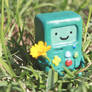 Clay Beemo