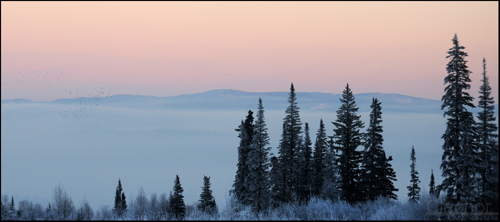 Winter's Evening