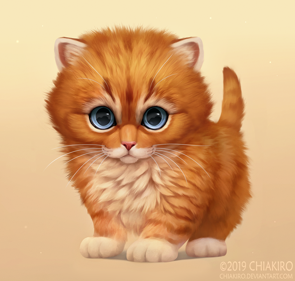 Анимация рыжий кот картинка