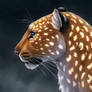 Light Leopard