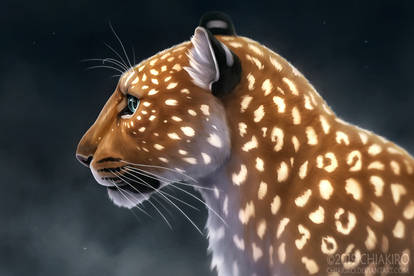 Light Leopard