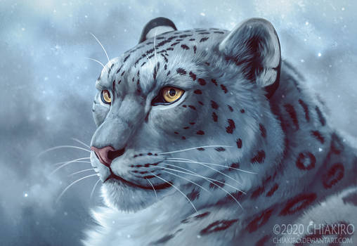 Leopard of snow