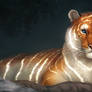 Light Tiger