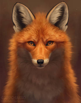 Foxy fox