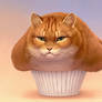 Muffin cat