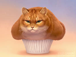 Muffin cat