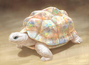 Opal Tortoise