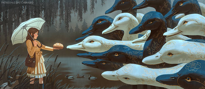 Feeding the Ducks