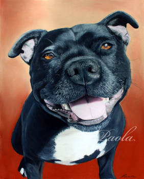 Staffordshire Bull Terrier pastel painting