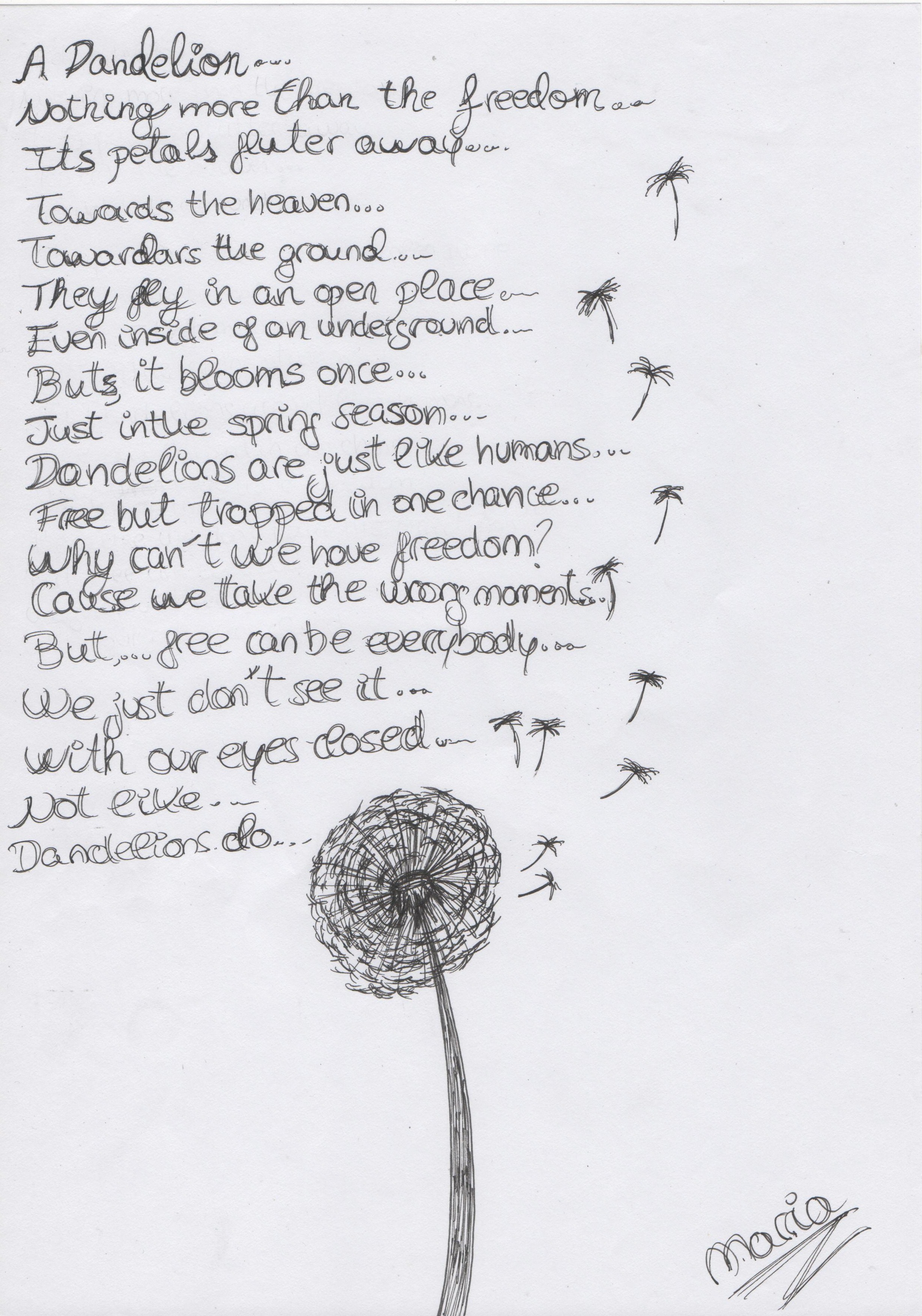 Dandelion's Poem (Drawing)