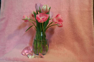 Tulips and Gems by JewelsStock Tulips and Gems by JewelsStock