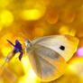 Butterfly gold Day