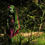 Venus Mcflytrap
