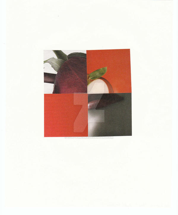 Color Study Collage Collage Color Study -- Red by cold-pancake on DeviantArt