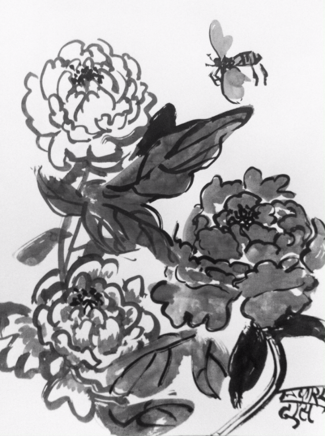 Peony Design, sumi ink, 2016