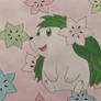 shaymin