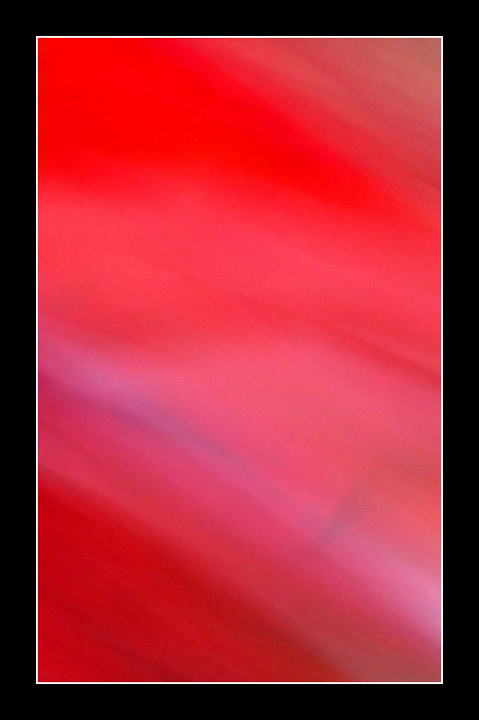 Scarlet Blur