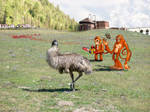 Emu Hunt
