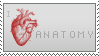 anatomy stamp