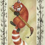 Red Panda