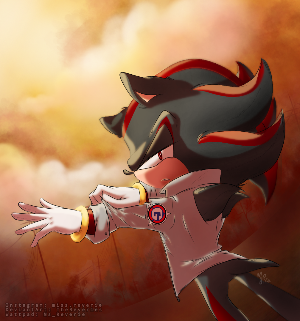 shadow with a gun, shadow the hedgehog