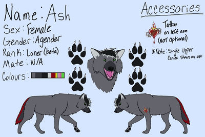 Ash Wolves Ash wolf form by StarryCatPrincet on DeviantArt