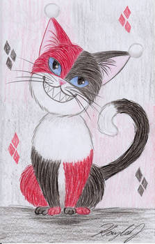 Harley Quinn Cat