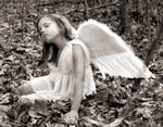 Angel by olivestar