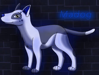 Madog