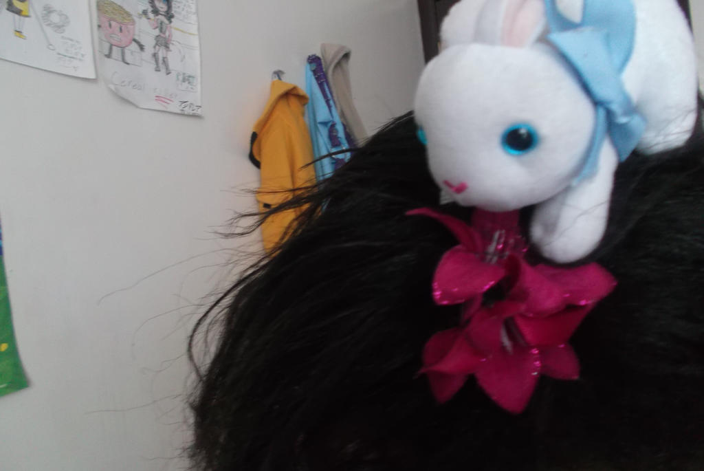 Snowflake admiring my Hairclip (AKA Bunny in my Ha