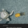 the irony of a sponge