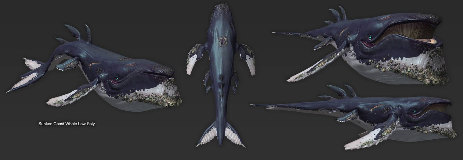 SunkenCoastWhale Lowpoly