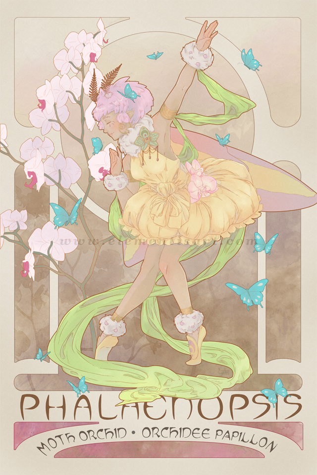 Phalaenopsis, the moth orchid by Elementis